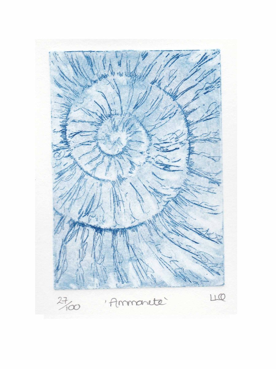 Etching no.27 of an ammonite fossil in an edition of 100