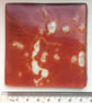 Fused Glass Marbled Tile or Coaster - Image 1