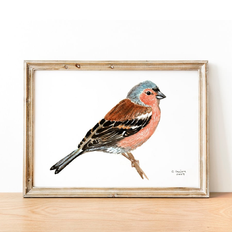 Chaffinch A5 Inkjet Print