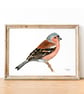 Chaffinch A5 Inkjet Print - Image 1