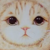 Raspberry Cat Designs