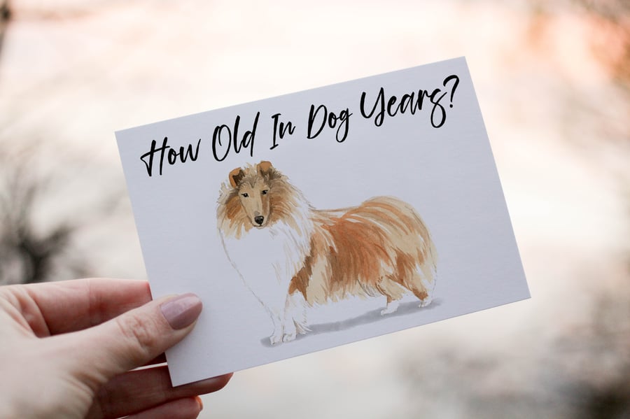 Rough Collie Dog Birthday Card, Dog Birthday Card