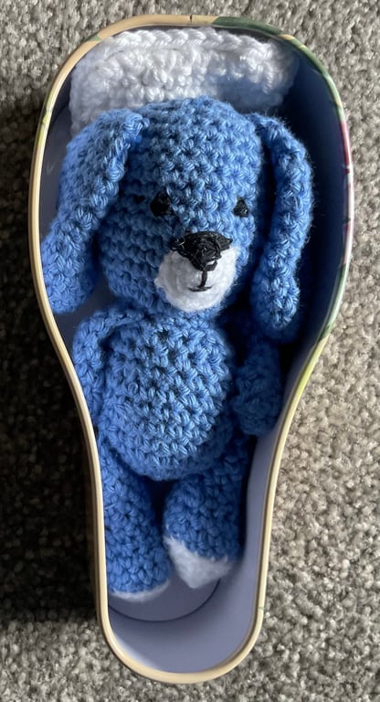 Sleeping rabbit in a tin 