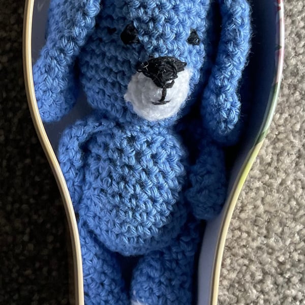 Sleeping rabbit in a tin 