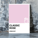 CLASSIC ROSE Greeting Card – Colour Swatch Series (A6, Blank Inside)