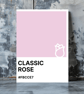 CLASSIC ROSE Greeting Card – Colour Swatch Series (A6, Blank Inside)