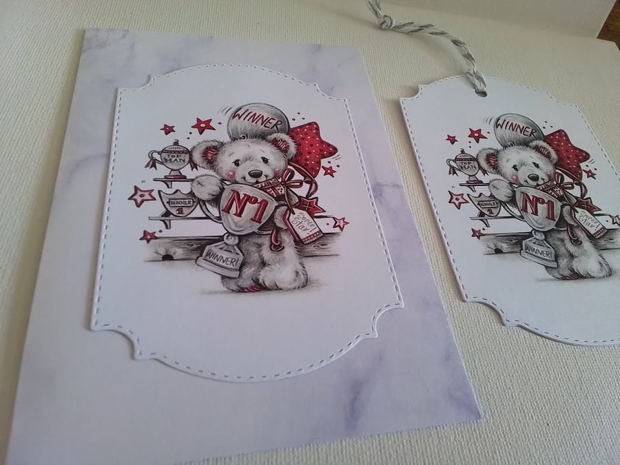 Card and gift tag set. Birthday card. Any occasion card. Ref 438