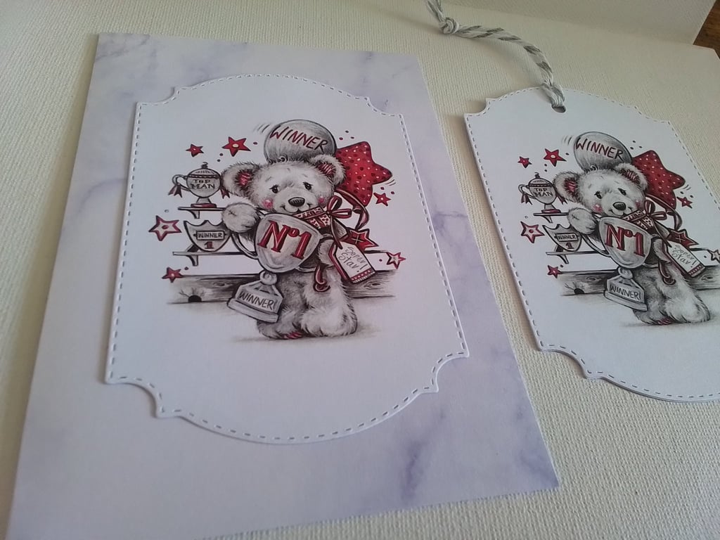 Card and gift tag set. Birthday card. Any occasion card. Ref 438