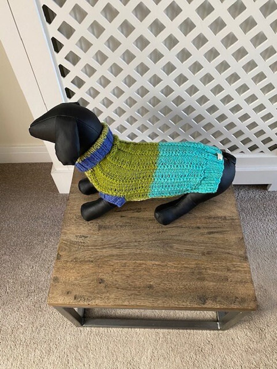 Dog Jumper - Ideal for a Miniature Dachshund or Small Dog