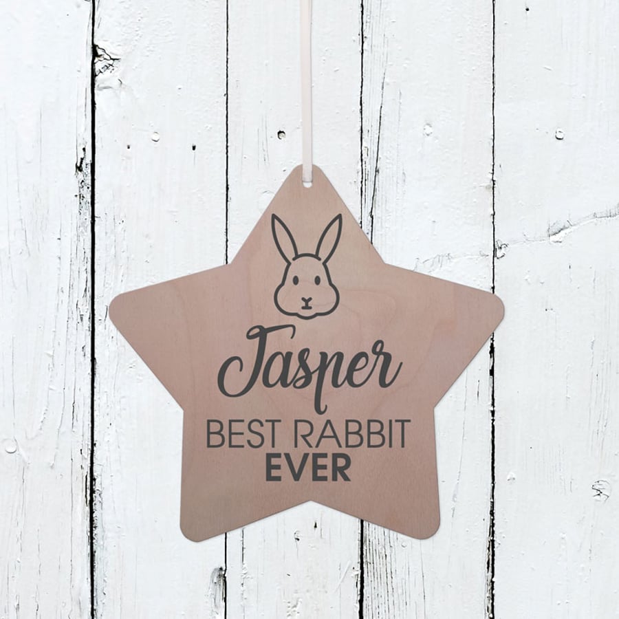 Best Rabbit - Personalised Hanging Star Plaque