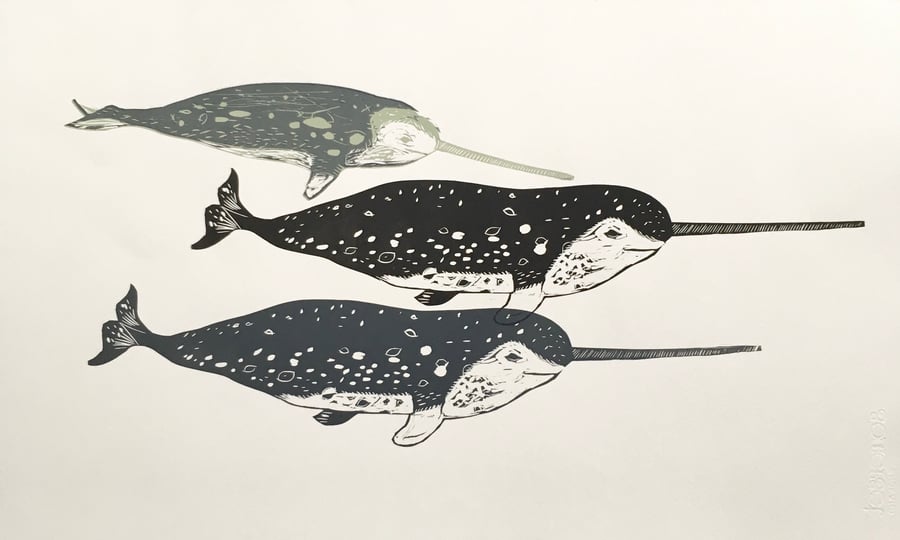 2 Narwhals with Calf