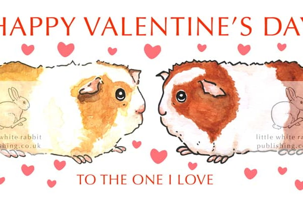  Guinea Pigs - Valentine Card