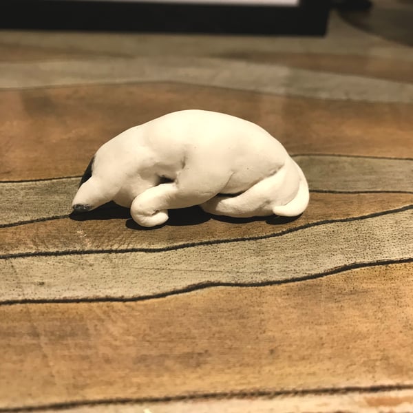 Porcelain Miniature Bull Terrier in a Tuck