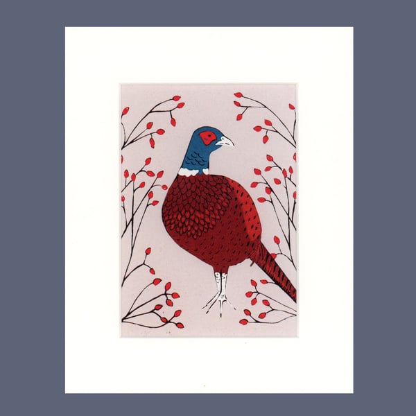 Pheasant print, Bird Print, Art Print, Bird Art 