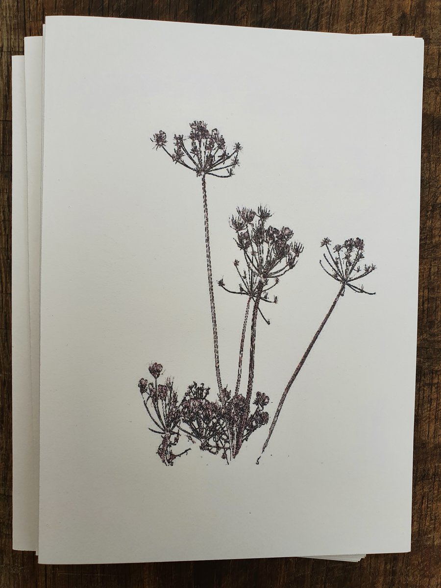  eight hedgerow cards with envelopes