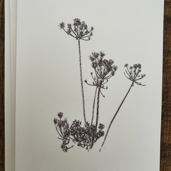  eight hedgerow cards with envelopes