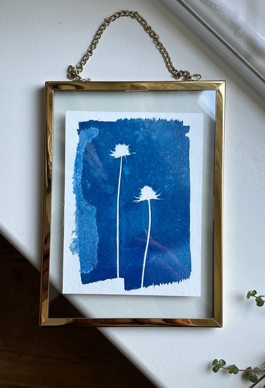 Original cyanotype, 5.5 x 4 inches in a 7.5 x 5.5 inches gold hanging frame