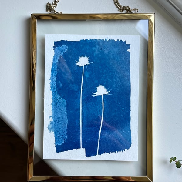 Original cyanotype, 5.5 x 4 inches in a 7.5 x 5.5 inches gold hanging frame