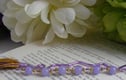 Bookmarks