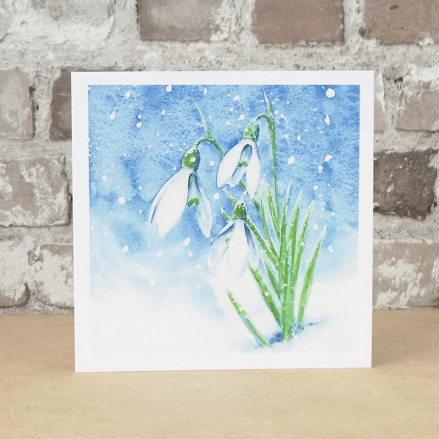 Card Snowdrop Blank Eco friendly