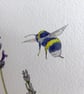 Set of five Flower and Bee Greetings cards - Image 4
