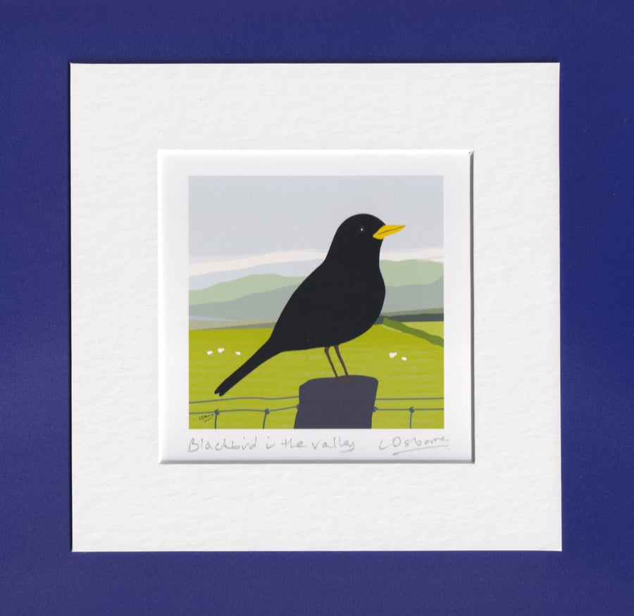 Blackbird in the valley - mounted print from digital illustration