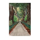 Family of wild boars