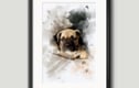 Pet Portraits
