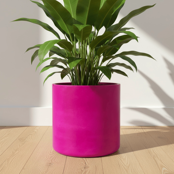 Large Statement Round Fuchsia Plant Pot 19 cm Indoor Planter