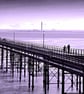 Southend On Sea Pier And Beach Essex England UK Photograph Print - Image 1