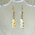 Freshwater pearls dangle earrings on gold plated hook - June birthstone