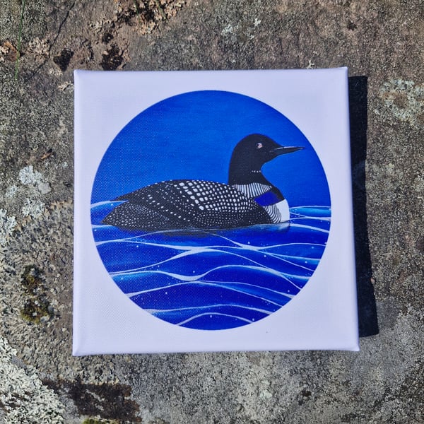 Great Northern Diver Canvas Print 