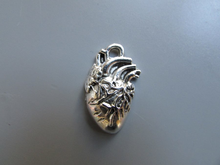 Anatomical Heart Jewellery making charm pendant