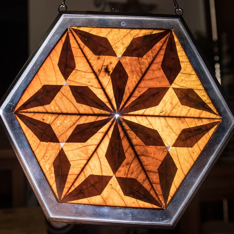 Honeycomb Leaf Star One