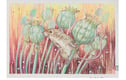 From £25 - 6 x 4" postcard size, original art