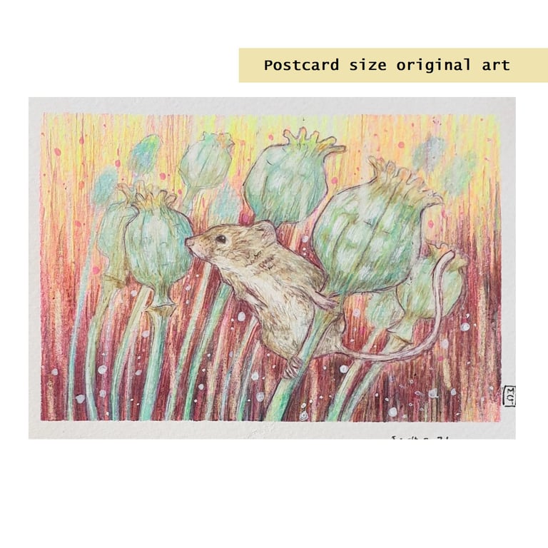Harvest Mouse on a Poppy Seed Head, original drawing, small wall art