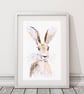 Hare Watercolour Painting - Signed Limited Edition Wildlife Art Print