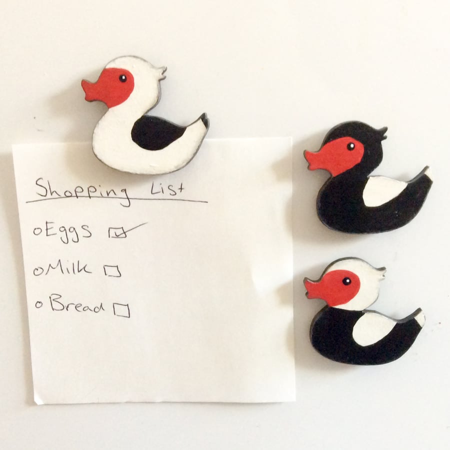 Muscovy Duck Magnet