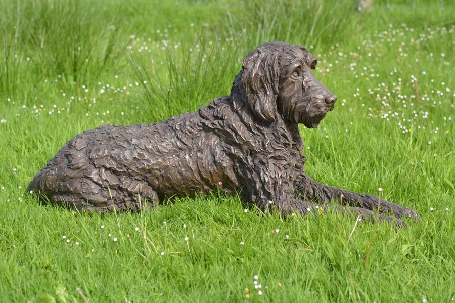 Lying Labradoodle Dog Statue Large Bronze Resin Garden Sculpture