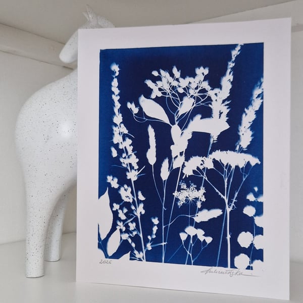 Cyanotype Botanical Print No. 4