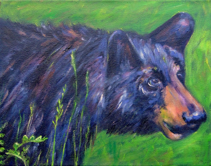 Animal Art Black Bear Original Oil Painting on Canvas OOAK