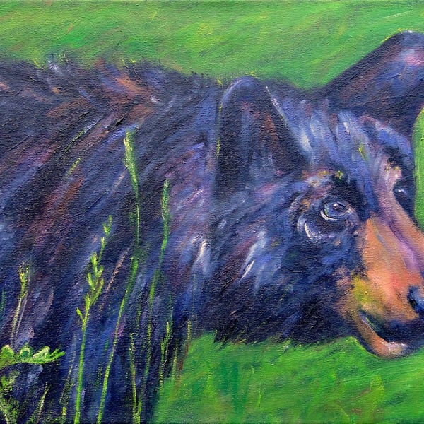 Animal Art Black Bear Original Oil Painting on Canvas OOAK