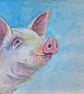 Happy Pig. Farm Animal painting. Original Watercolour - Image 5
