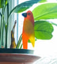 Orange and Yellow Pot Parrot in Fused Glass - 3200-08 - Image 4