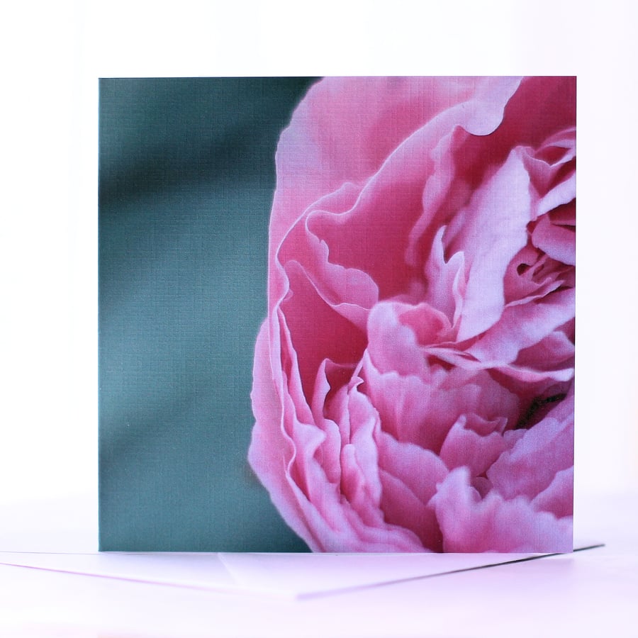 Graceful - A Blank Floral Greetings Card