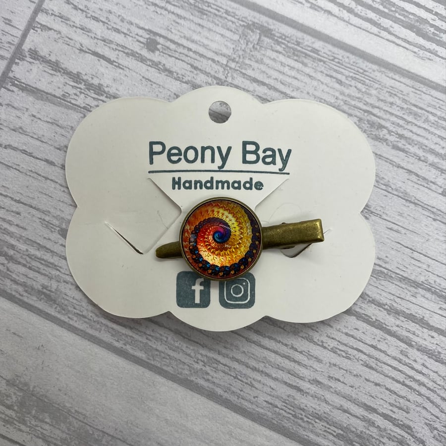 Women’s alligator clip, hair slide