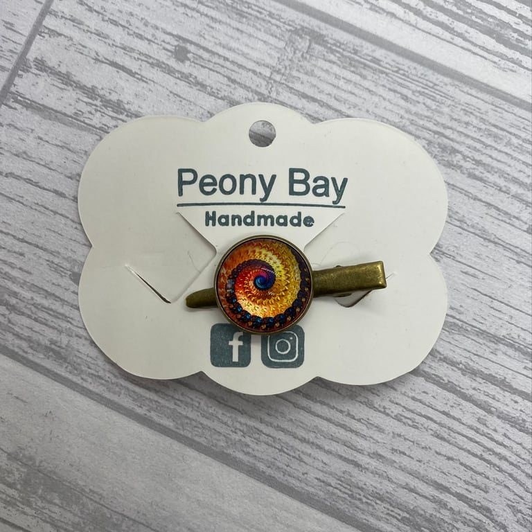 Women’s alligator clip, hair slide