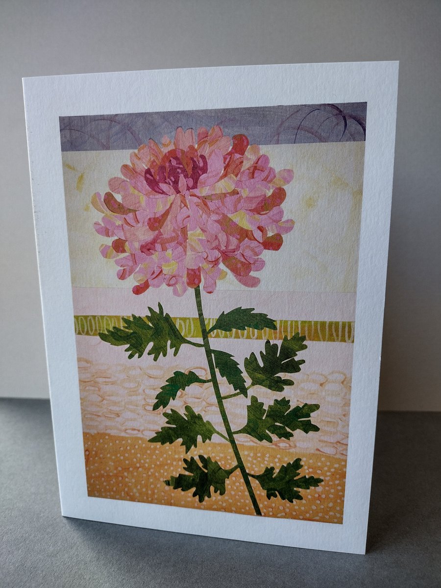 Floral birthday card, Chrysanthemum greetings card, blank inside