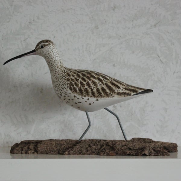 Curlew on driftwood