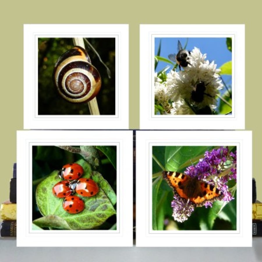 4 greeting cards –‘Nature’ (ladybirds, bees, tortoise shell butterfly, snail)